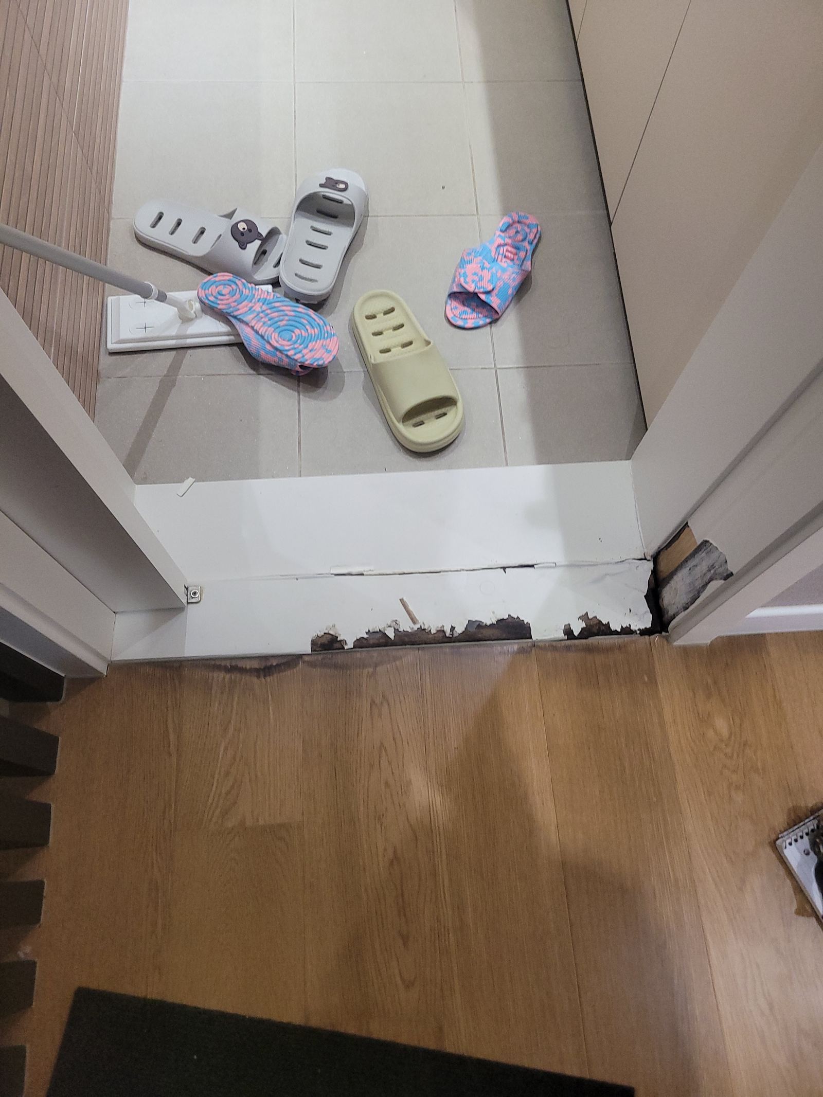현장 초기 확인